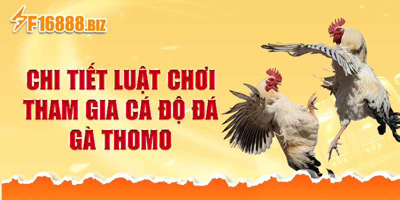 Chi tiết luật chơi tham gia cá độ đá gà Thomo