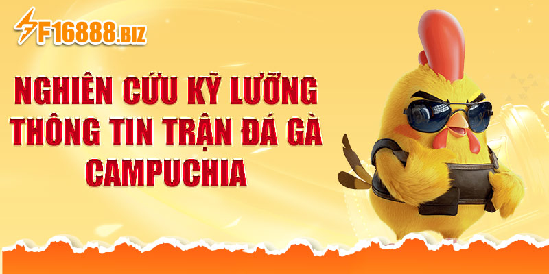 Nghiên cứu kỹ lưỡng thông tin trận đá gà Campuchia