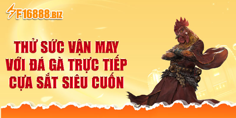Thử sức vận may với đá gà trực tiếp cựa sắt siêu cuốn