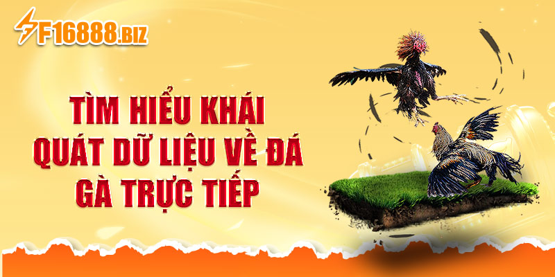 Tìm hiểu khái quát dữ liệu về đá gà trực tiếp